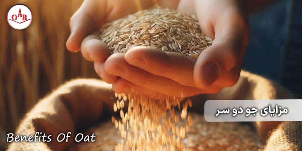 مزایای-جو-دو-سر-OAB-2