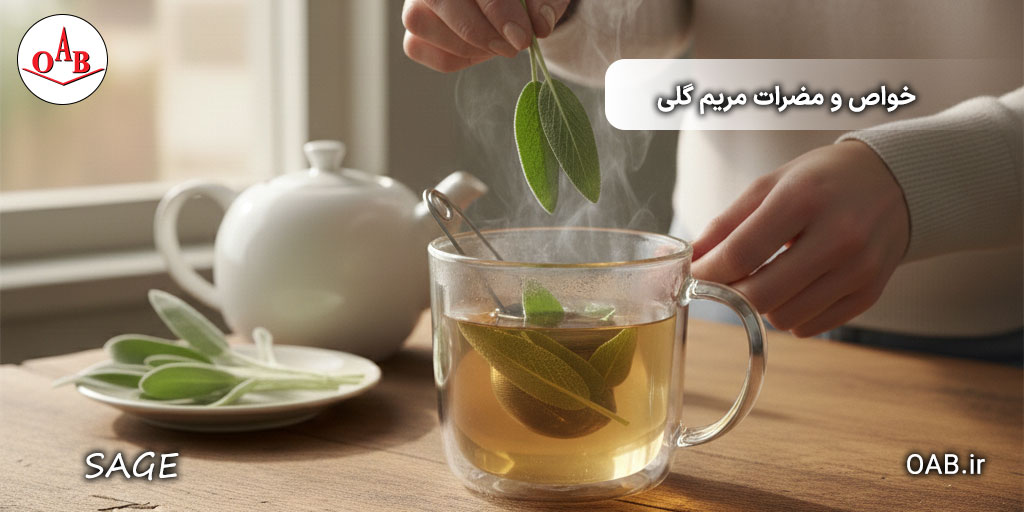 خواص-و-مضرات-مریم-گلی-OAB-1