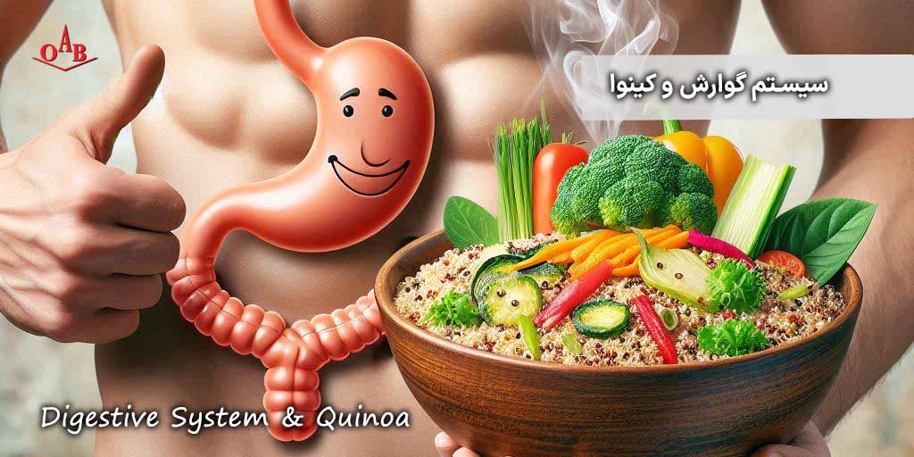 گوارش و کینوا OAB