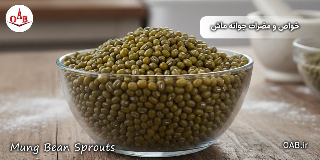 خواص-و-مضرات-جوانه-ماش-6