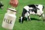 حساسیت به پروتئین شیر گاو