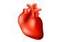 علتها و علایم گرفتگی رگهای قلب