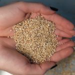 بلغور جو دوسر 200