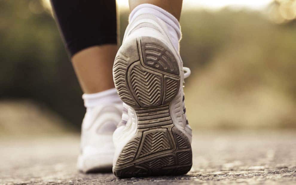 سلطان ورزش ها