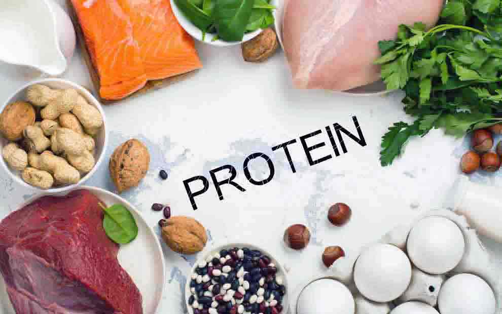 بدن به چه مقدار پروتئین نیاز دارد؟