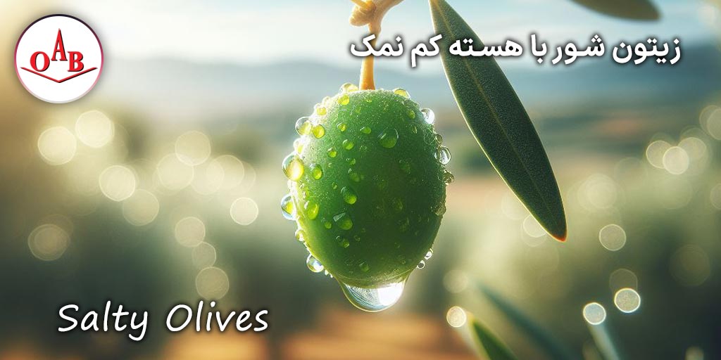 زیتون شور با هسته کم نمک OAB
