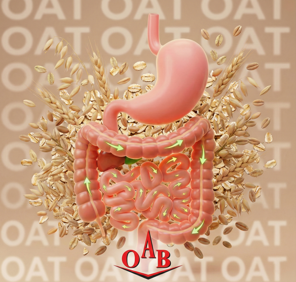 جودوسر و یبوست؛ معجزه‌ای ساده با اثرگذاری واقعی