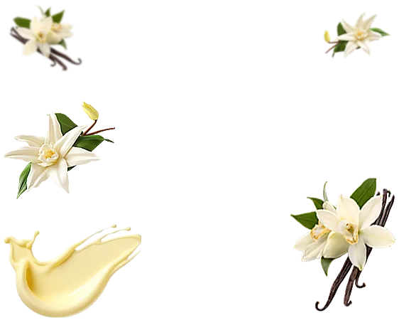 تکه های غلاف و گل وانیل